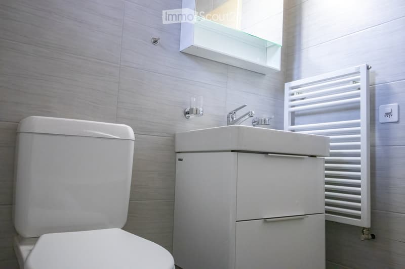 Modern bathroom with white tiles, a toilet, a sink with a faucet, a radiator, and a mirror above the sink.