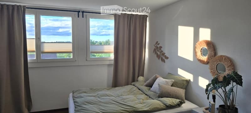 Bright bedroom with large windows offering a scenic view, featuring a neatly made bed with pillows, decorative mirrors, and a potted plant.