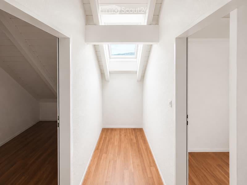 Bright, minimalist hallway with white walls, wooden flooring, and a skylight window at the end.