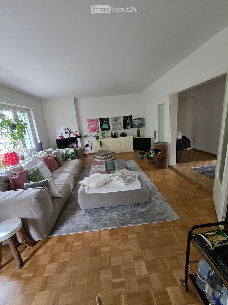 large living room, grey sofa, carpet, wooden floor, fireplace, large windows