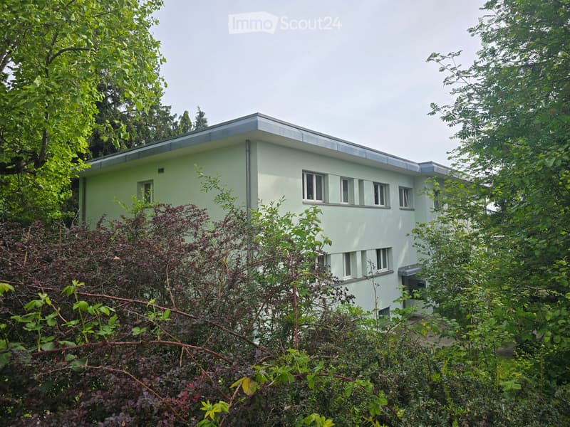 House. A modern, single-story house with a flat roof and light green exterior, surrounded by lush greenery and trees.