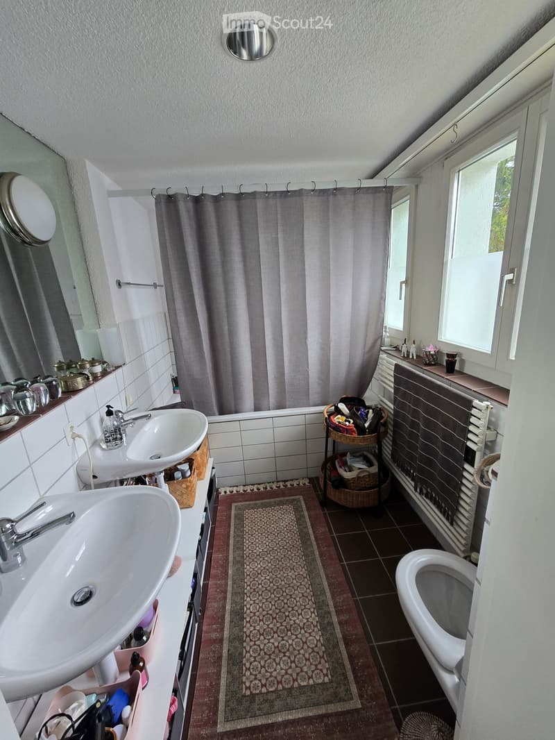 bathroom with bathtub, sink, and toilet, rug, shelves, mirror