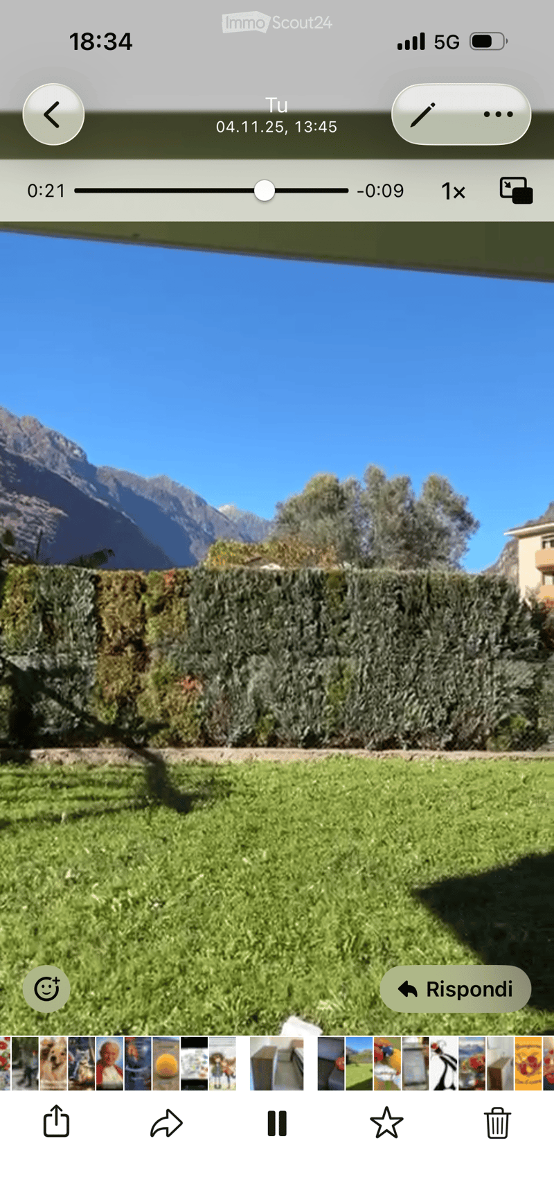 A well-maintained garden with a neatly trimmed hedge, green grass, and a view of mountains in the background.