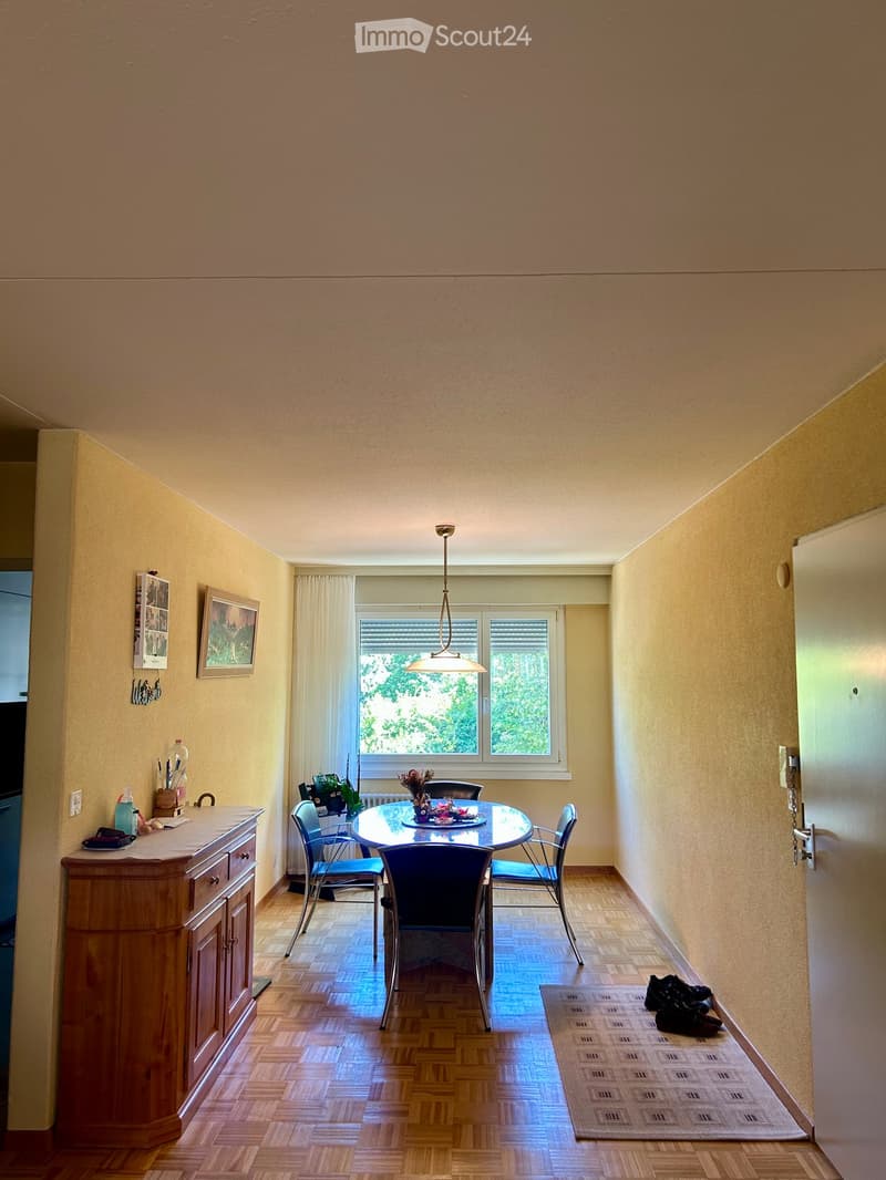 Helle 5-Zimmer-Wohnung mit Balkon an ruhiger Lage zwischen Zürich- und Greifensee (1)