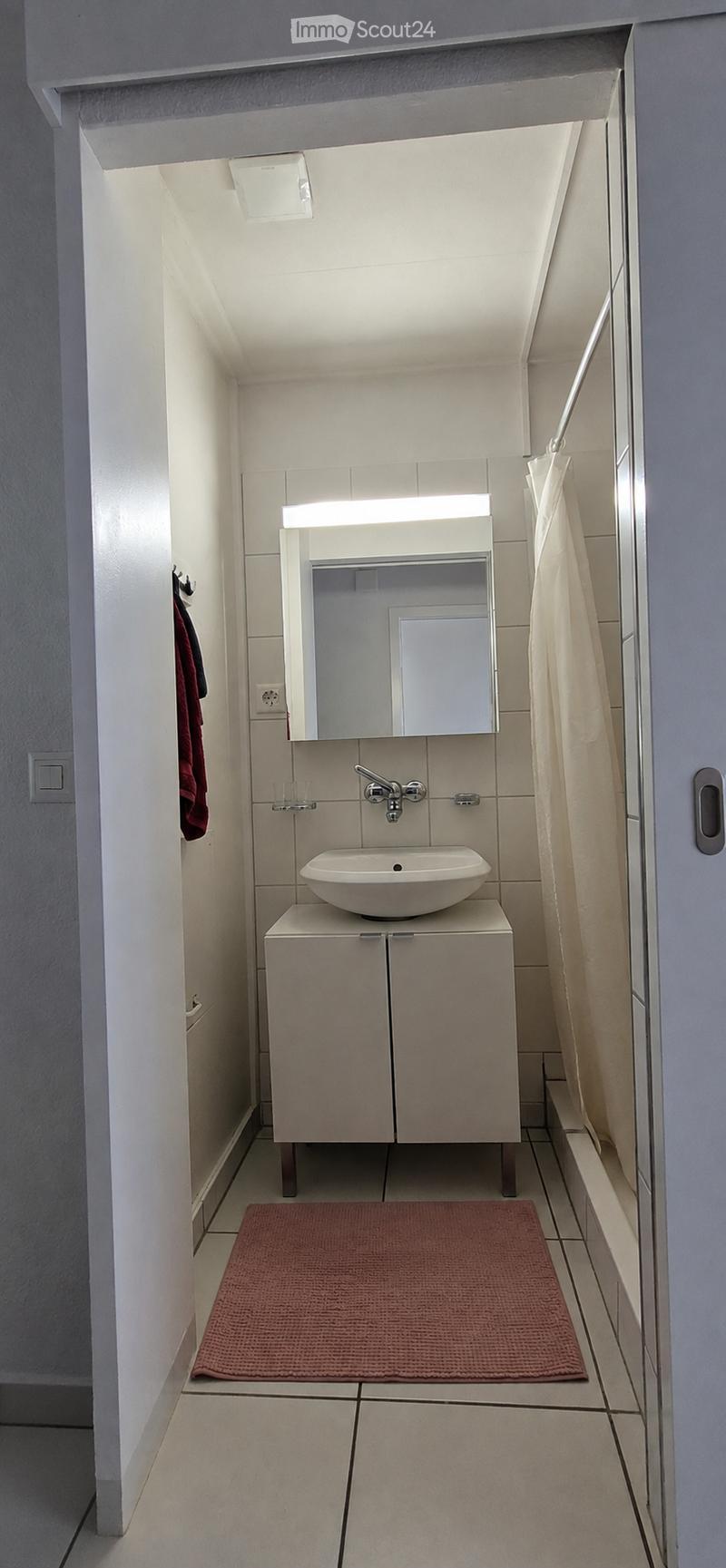 Modern bathroom with a white sink on a cabinet, a mirror with built-in lighting, a towel hanging on the wall, and a red bathroom rug on the floor.