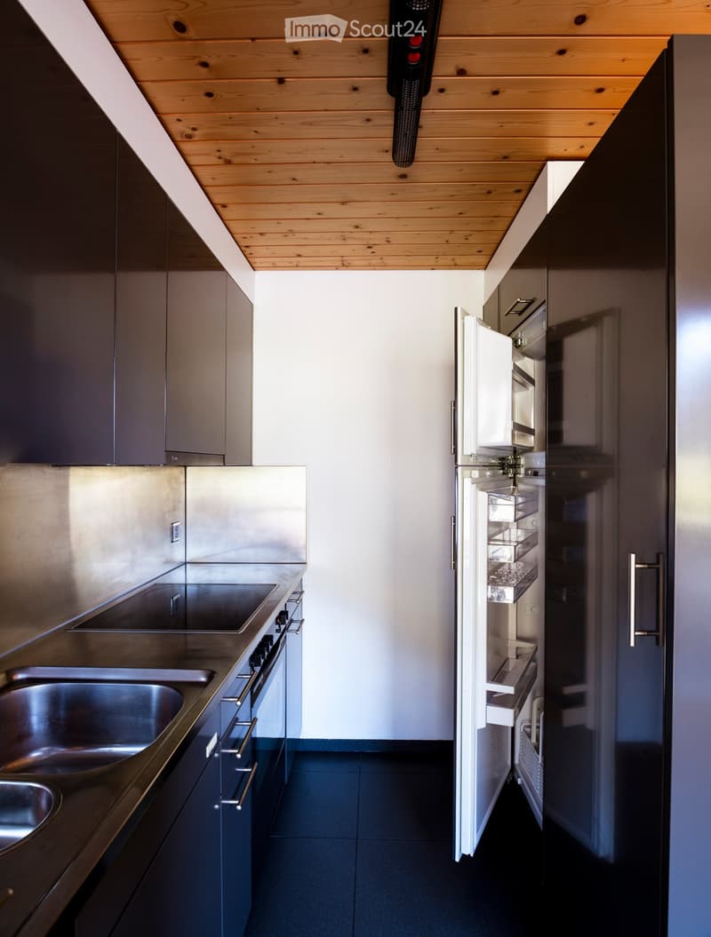 Modern kitchen with stainless steel appliances, dark cabinets, and a wooden ceiling.