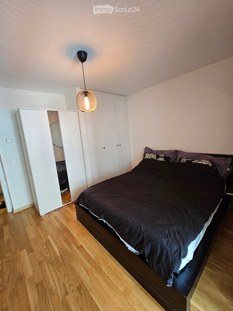 Modern bedroom with a dark wooden bed, black duvet, and matching pillows. Features a large mirrored wardrobe, pendant light fixture, and light wooden flooring.