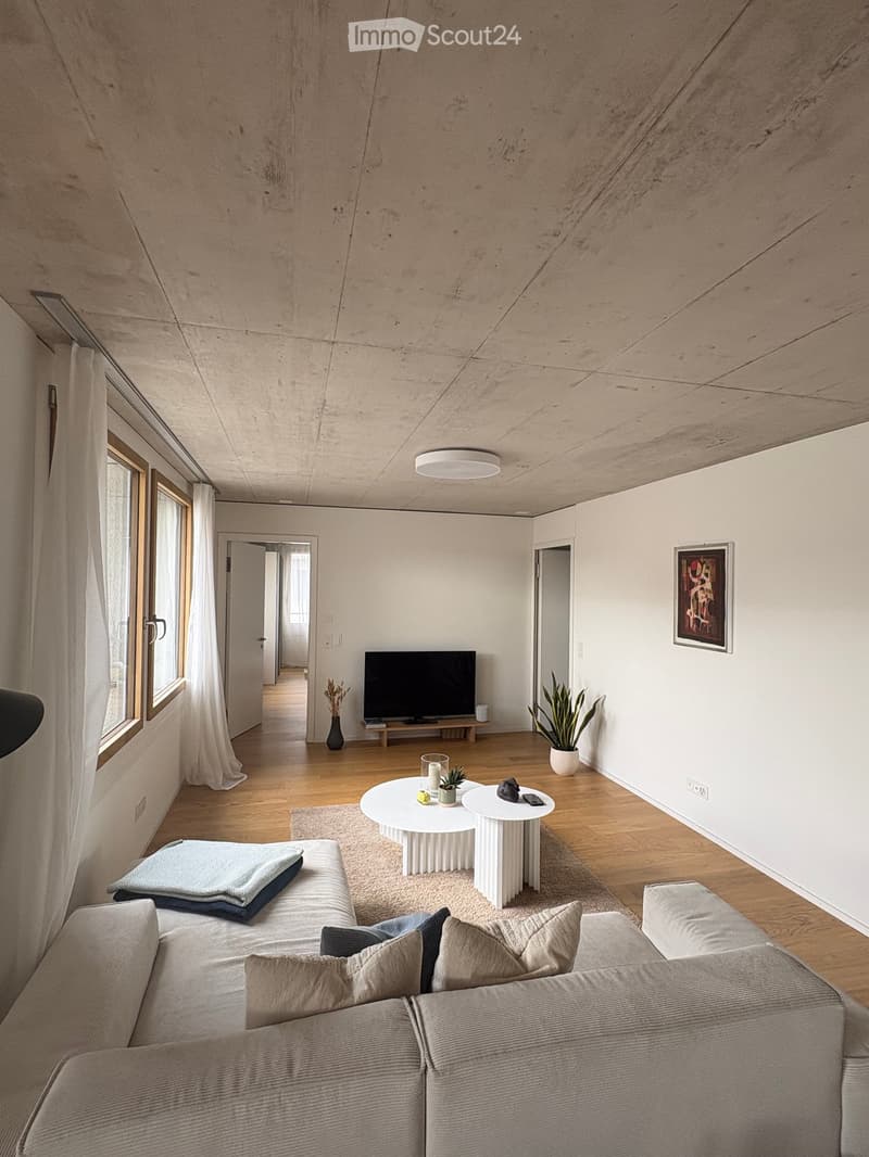 Modern living room with wooden flooring, a grey sectional sofa, a white coffee table, a television on a stand, and decorative plants.