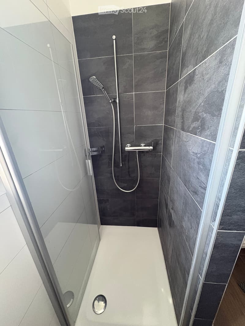 Modern shower area with dark grey tiles, glass enclosure, and a handheld showerhead on a rail.