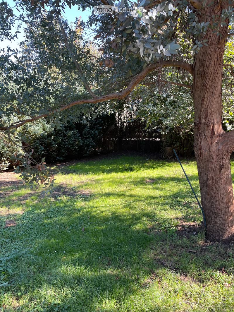 A well-maintained garden with a lush green lawn, surrounded by trees and shrubs, providing a serene outdoor space.