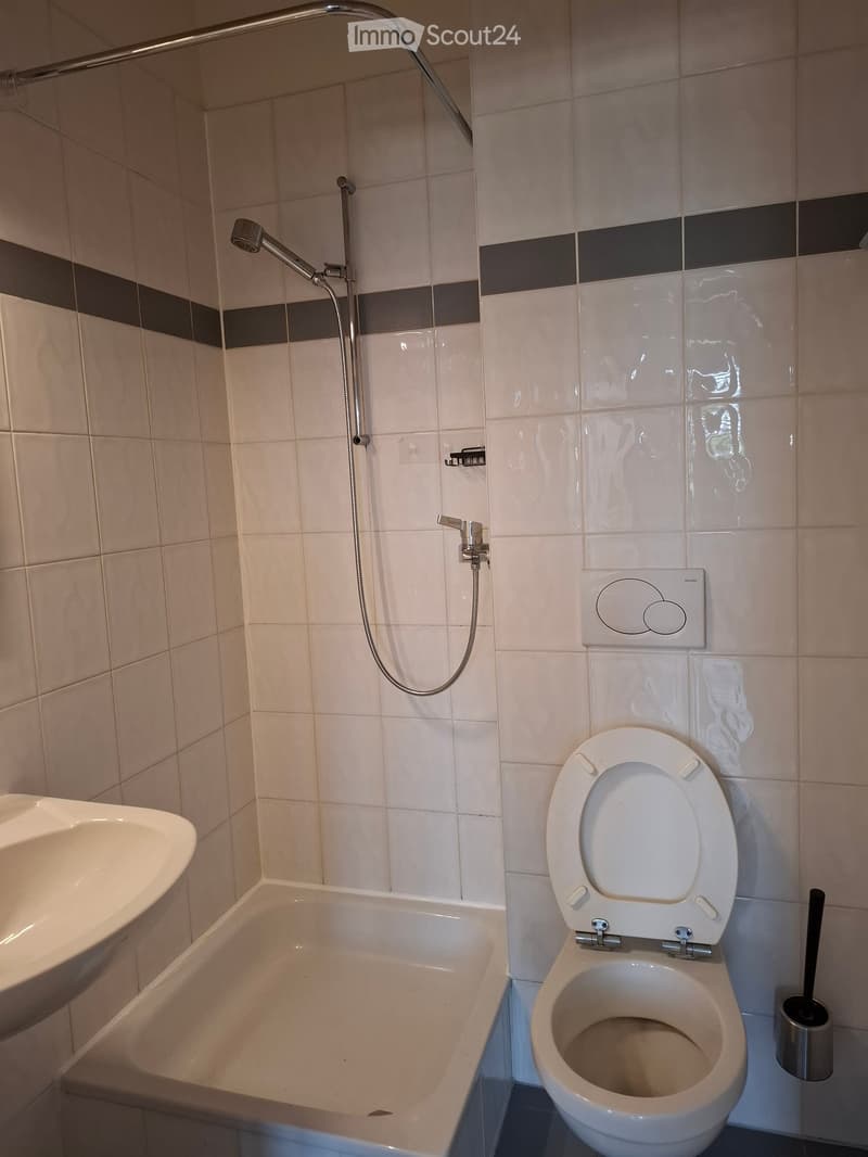 Bathroom with a bathtub, toilet, sink, and toilet brush. Showerhead and controls are visible on the wall.