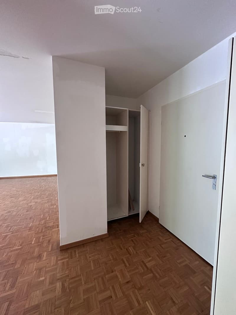 Empty room with wooden herringbone flooring, white walls, and a built-in closet with open shelving. No furniture or personal items are present.