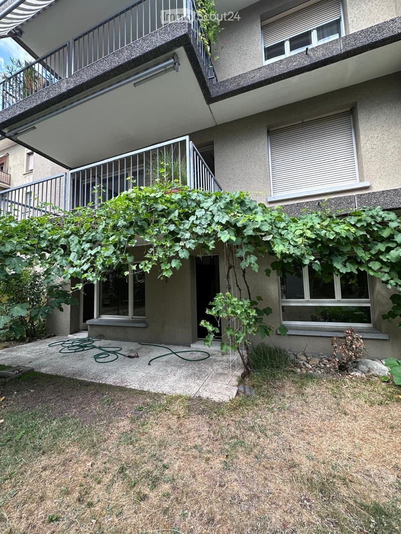 Garden area with a concrete patio, green vines climbing on the building, a metal railing, and a grassy lawn.
