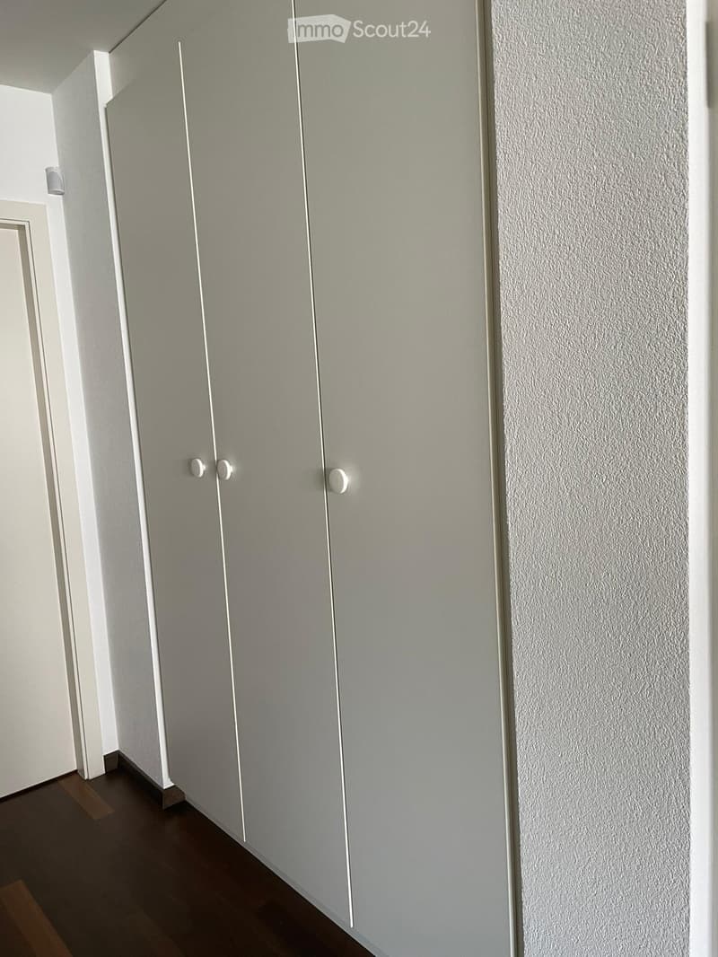 A narrow hallway with light grey walls, a wooden floor, and a closed sliding door on the right side.
