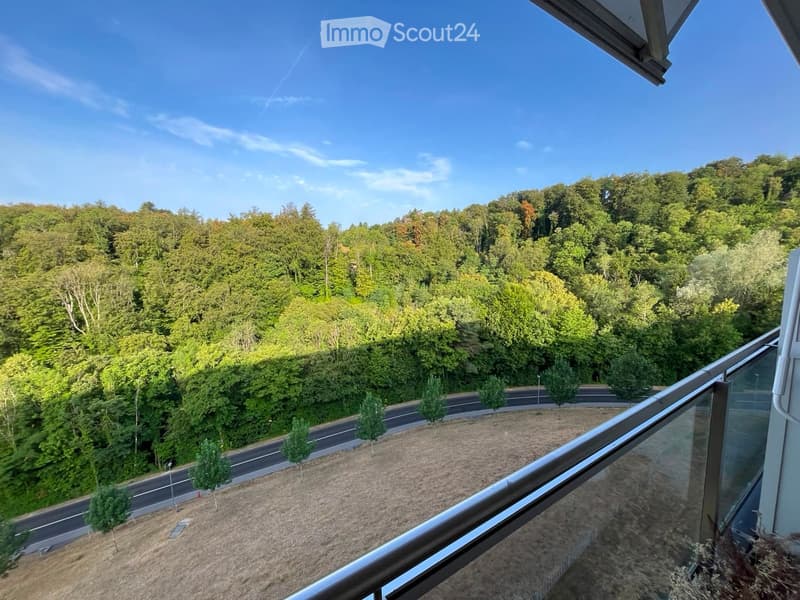 Balcony with a metal railing and glass panels, overlooking a road and a forested area with trees and greenery.
