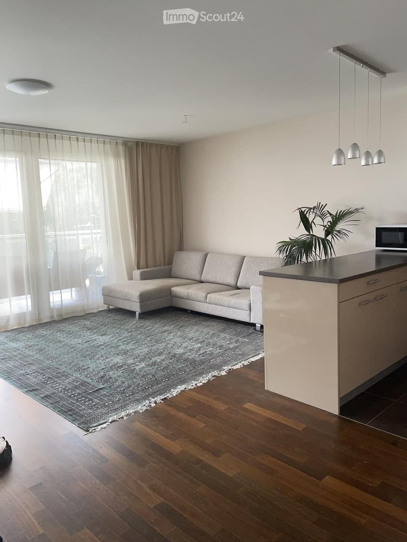 Modern living room with a grey sectional sofa, a coffee table, a potted plant, and a microwave on a kitchen counter. The room features wooden flooring, large windows with curtains, and a patterned rug.
