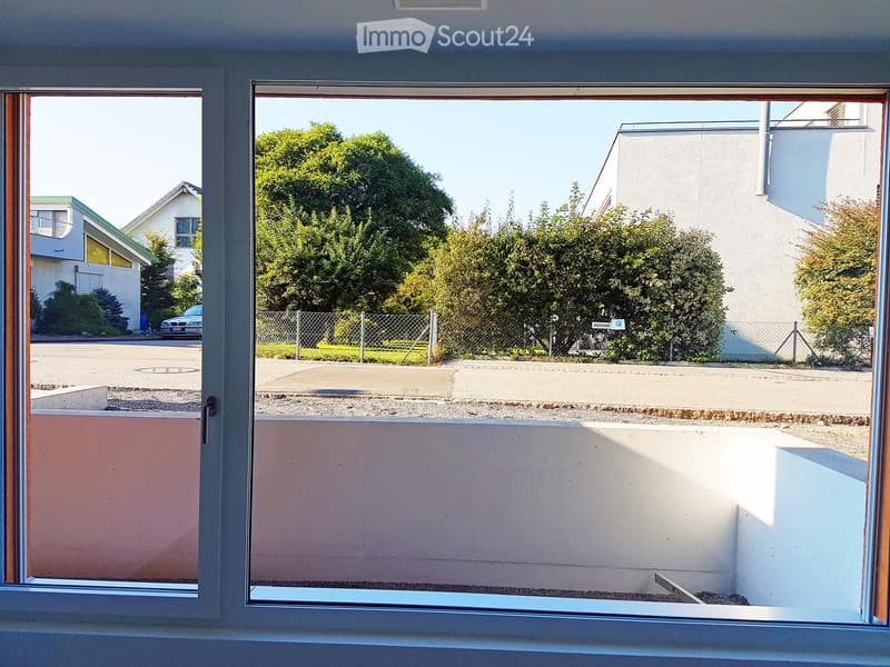 Glass window, View of street and greenery