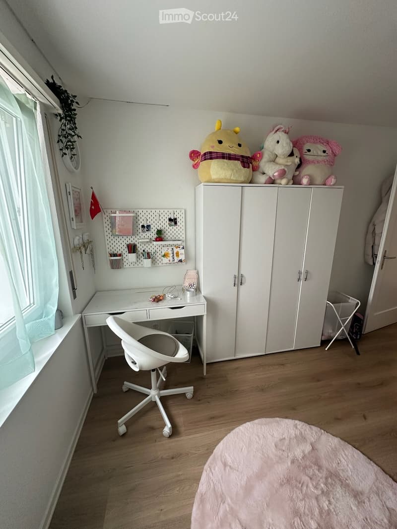 A well-organized room with a white desk, a white chair, a large white cabinet, a fluffy pink rug, and several decorative items including toys and a potted plant.