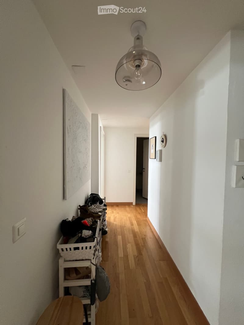 A narrow hallway with wooden flooring, white walls, and a modern pendant light fixture. A small shelf holds shoes and bags, and framed pictures adorn the walls.