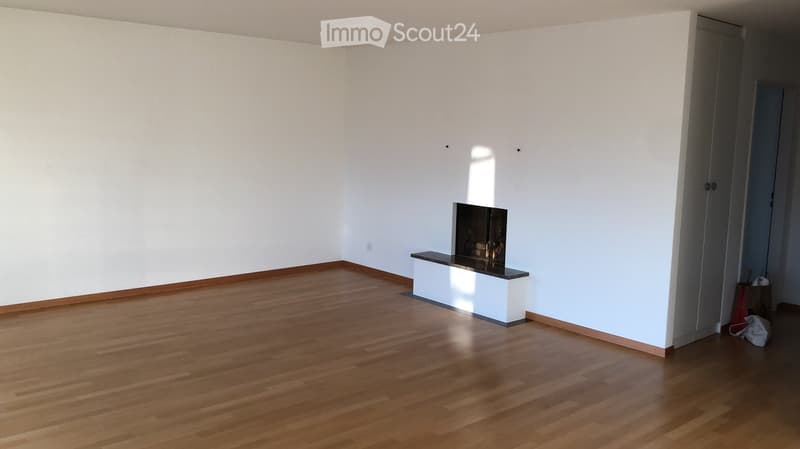 Empty room with white walls, wooden flooring, and a built-in fireplace with a black glass front.