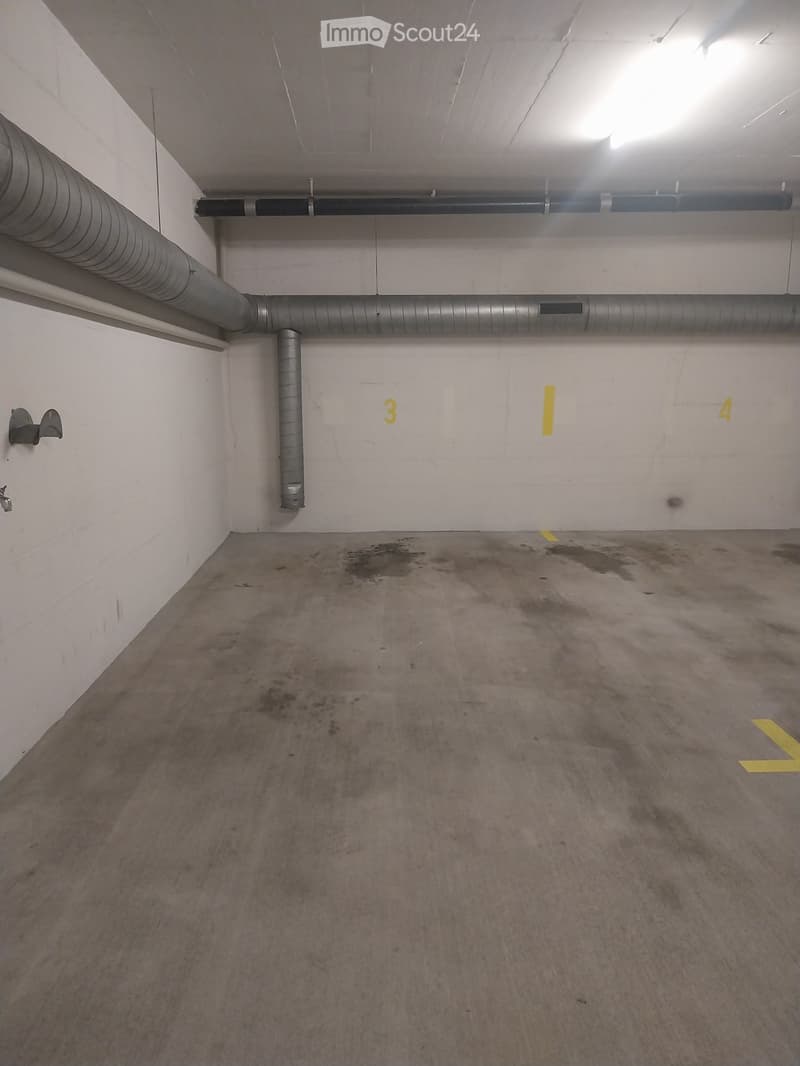 Empty underground parking space with concrete floor, white walls, and numbered parking spots.