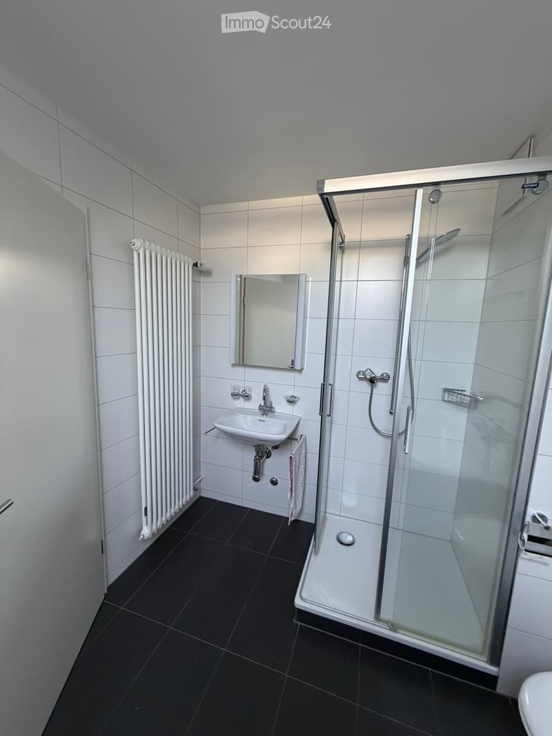Modern bathroom with white tiles, black floor, glass-enclosed shower, sink, mirror, and radiator.