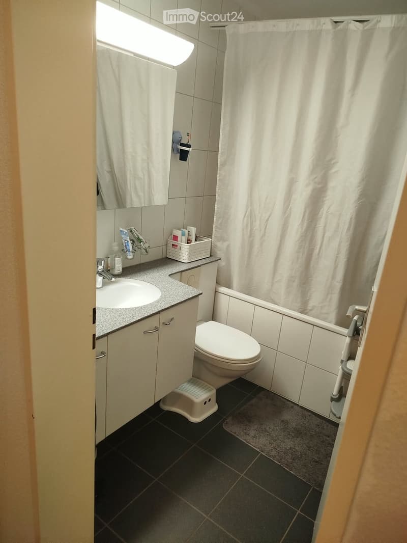 Modern bathroom with a sink, toilet, mirror, and shower area. Includes a small cabinet, a white basket on the counter, and a step stool in front of the toilet.