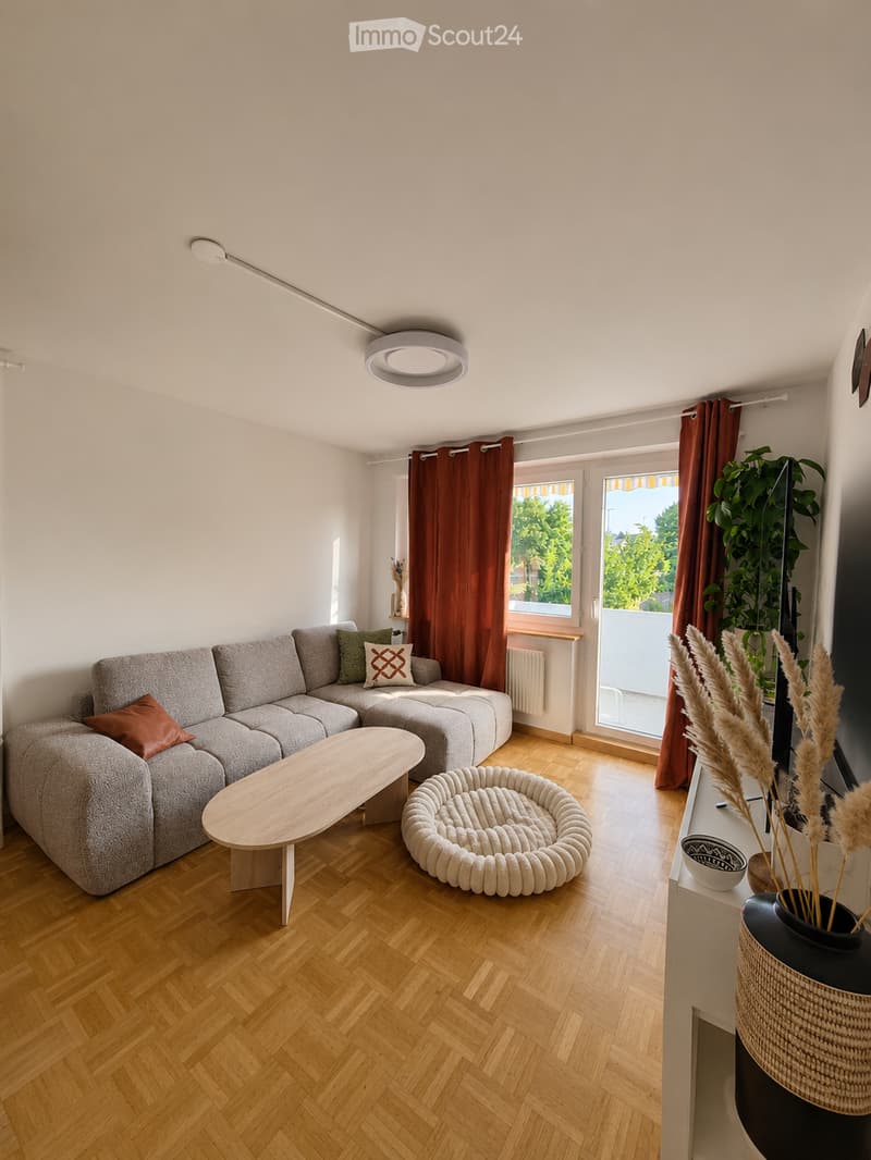 Modern living room with grey sectional sofa, wooden coffee table, cat bed, decorative vases, and large windows with red curtains.