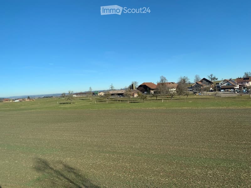 Open grassy field with scattered trees and distant houses under a clear blue sky.