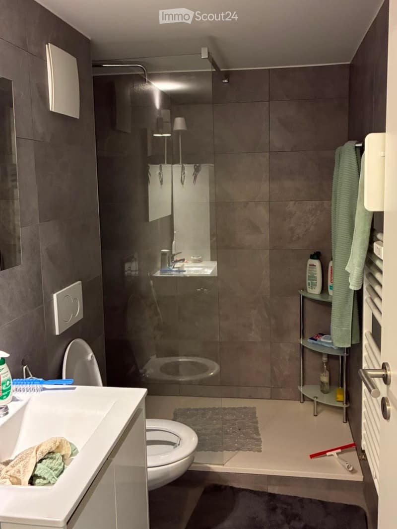 Modern bathroom with dark grey tiles, a glass-enclosed shower, a toilet, a sink with a mirror, and a towel rack with towels.