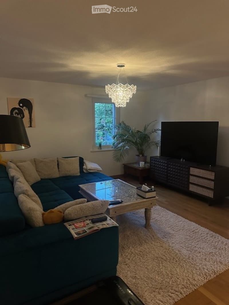 Modern living room with a blue sectional sofa, glass coffee table, flat-screen TV, floor lamp, and a potted plant near the window.