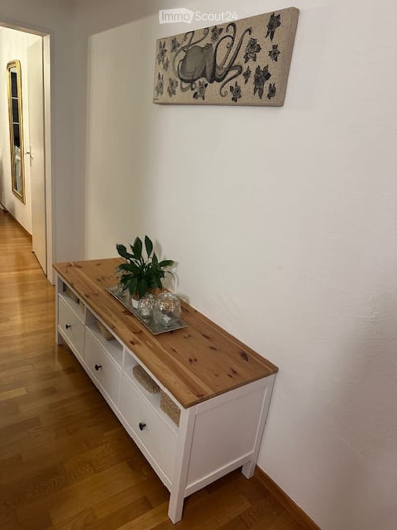 A narrow hallway with light wooden flooring, white walls, and a small console table with drawers and a potted plant on top. A decorative wall piece is mounted on the wall above the table.