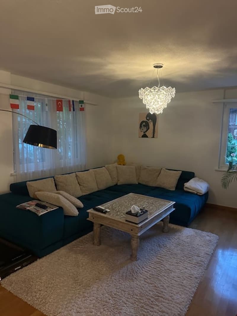 Modern living room with a large blue sectional sofa, a wooden coffee table, a white shag rug, a floor lamp, and a decorative picture frame on the wall.