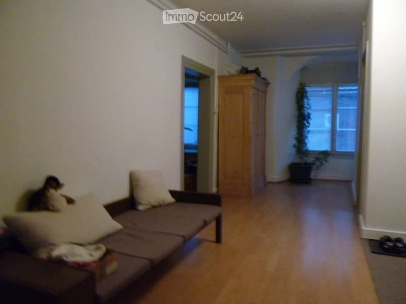 A small, cozy living space with a sofa, pillows, a wardrobe, and a potted plant in the corner.