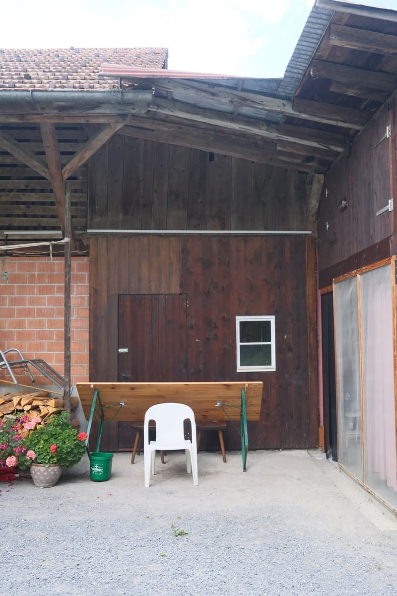 Outdoor area with a wooden bench, white plastic chair, potted plants, and a green bucket near a wooden shed.