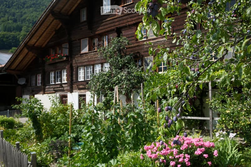 A traditional wooden house with multiple windows and a sloped roof, surrounded by a lush garden with plum trees, flowers, and greenery.
