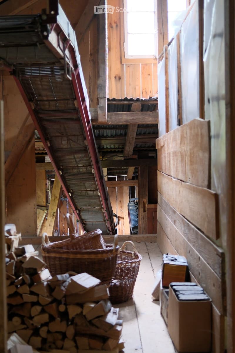 An attic or storage area with wooden walls and ceiling, featuring a ladder leading to the roof, a stack of firewood, and two wicker baskets on the floor.