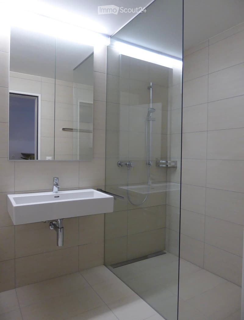 Modern bathroom with a white sink, large mirror, and glass-enclosed shower area.