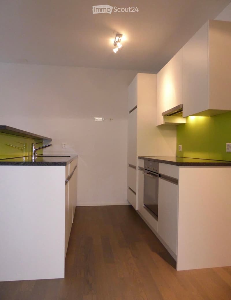 Modern, minimalist kitchen with white cabinets, dark countertops, and a sleek stainless steel dishwasher. The space features a wooden floor and built-in lighting.