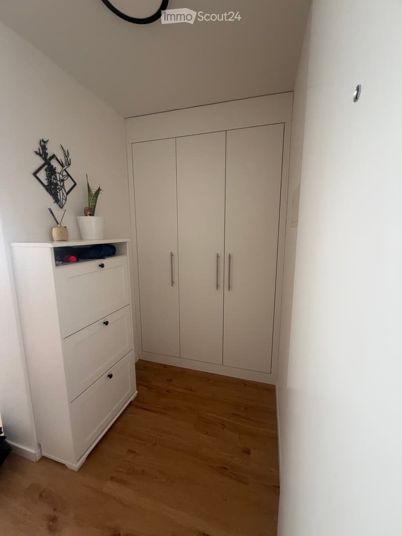 A clean, modern hallway with light wooden flooring, white walls, built-in wardrobes, and a small shelf with decorative items.