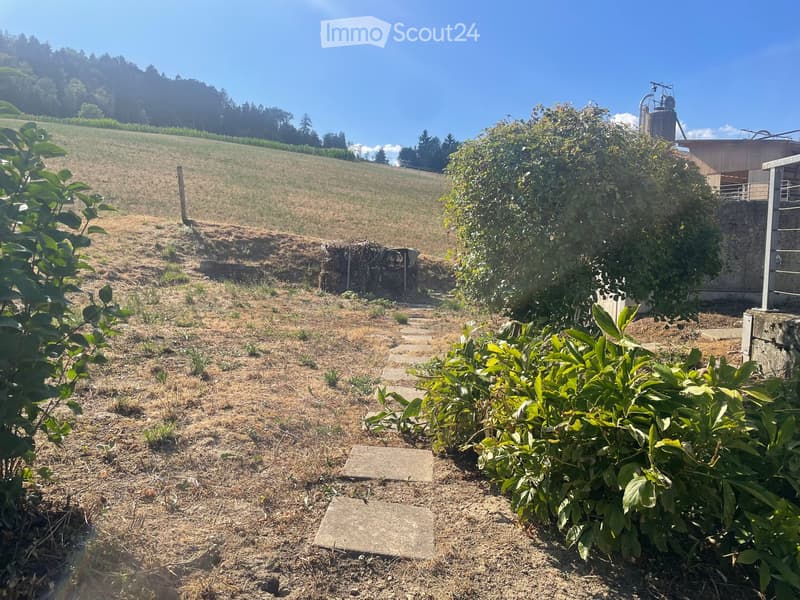 Garden area with a stone pathway, various plants, and a small shed in the background, surrounded by open fields and trees.