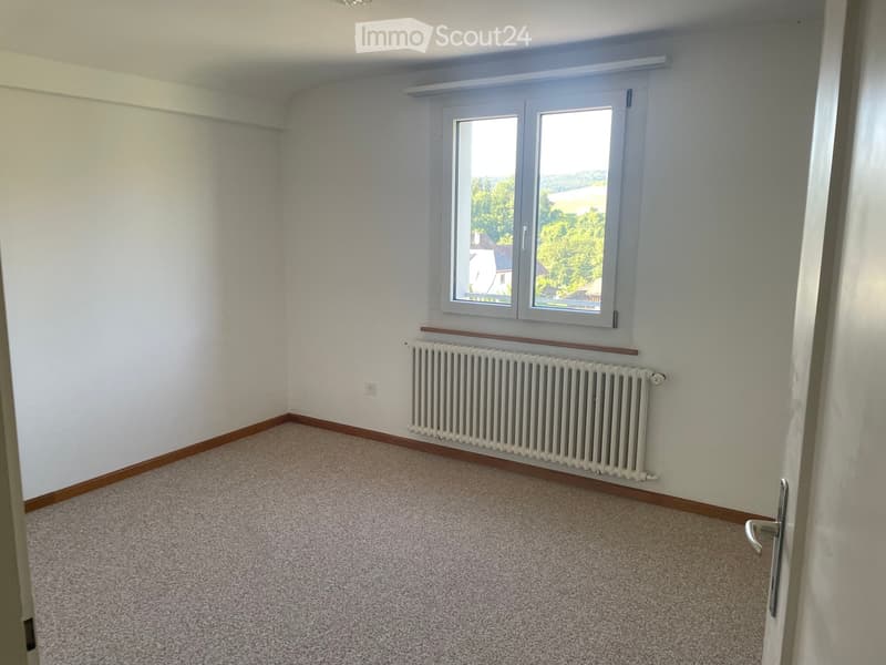 Empty room with light-colored walls, carpeted floor, and a white radiator beneath a window with a view of greenery.