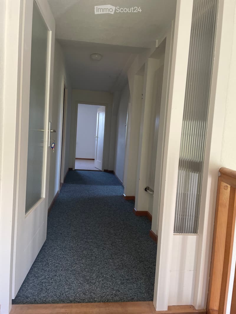 A narrow carpeted hallway with white walls, a ceiling light, and doors on either side.