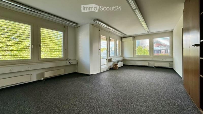 Empty room with large windows, carpeted floor, white walls, and radiators. No furniture or equipment present.