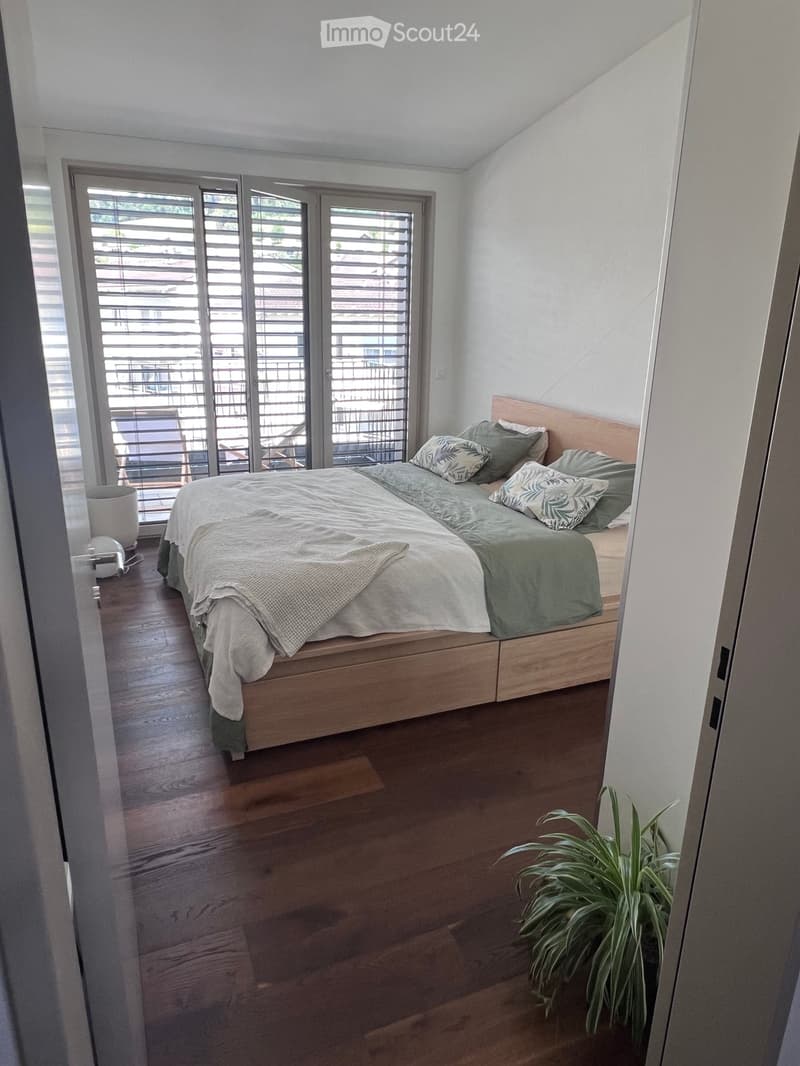 Modern bedroom with wooden flooring, large bed with green bedding, decorative pillows, and a plant near the door.