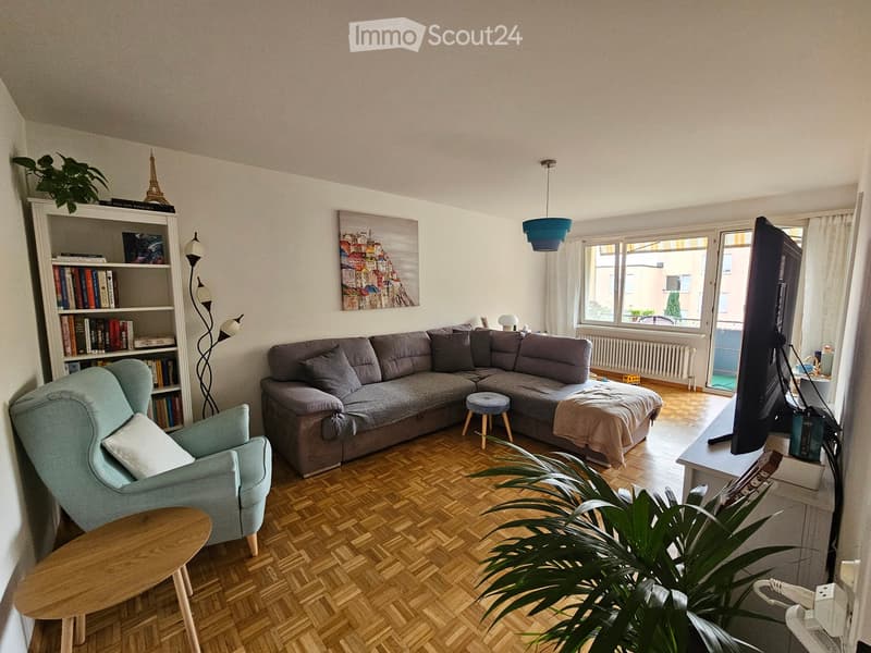 Modern living room with a grey sectional sofa, light blue armchair, wooden coffee table, bookshelf, pendant light, TV, and plants.