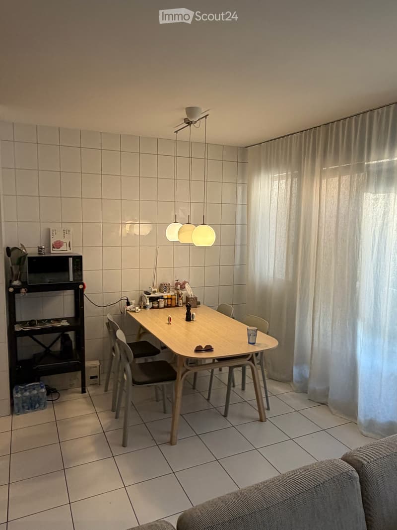 Spacious and bright 4 room apartment with balcony in the heart of Plainpalais (5)