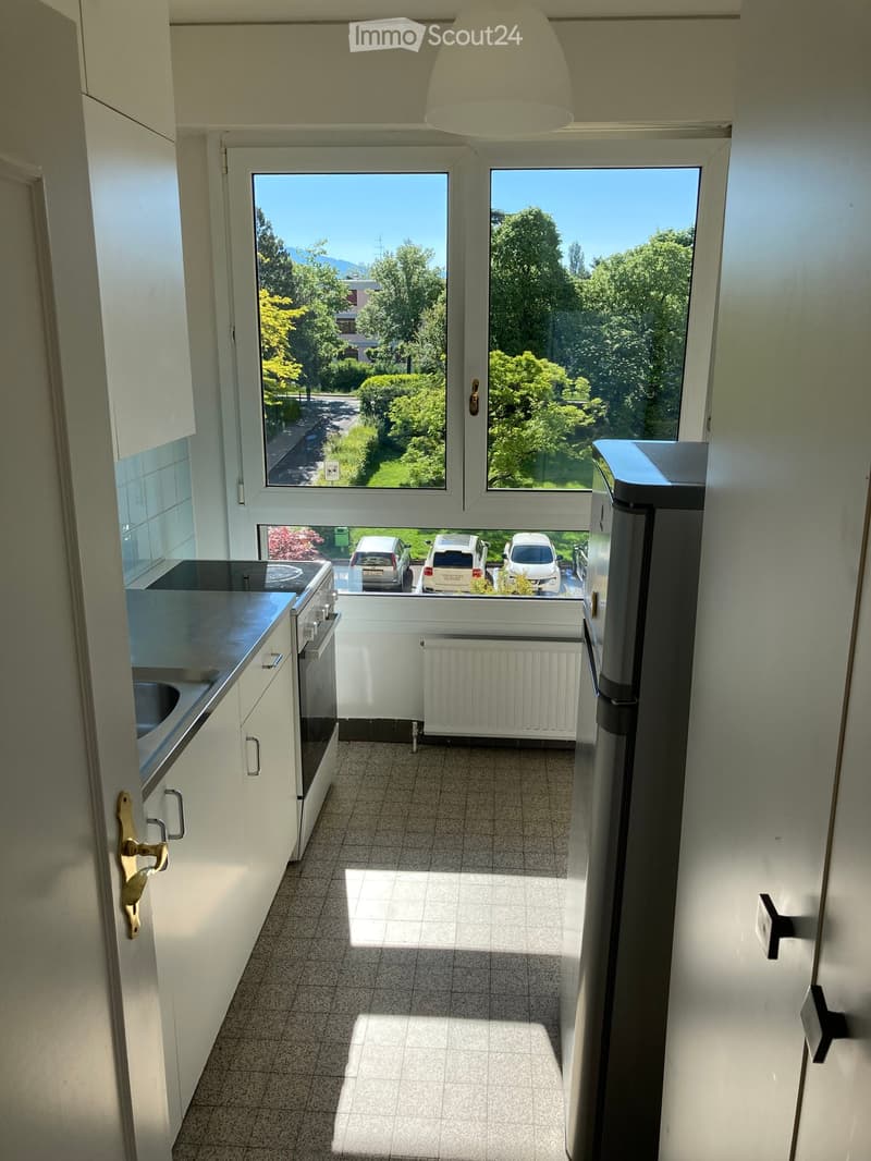 Modern kitchen with white cabinets, stainless steel appliances, and large windows overlooking a parking area.