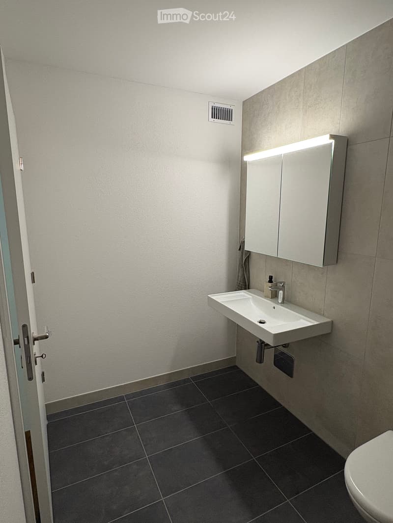 Modern bathroom with dark tiled floor, white sink, mirror cabinet, and toilet.