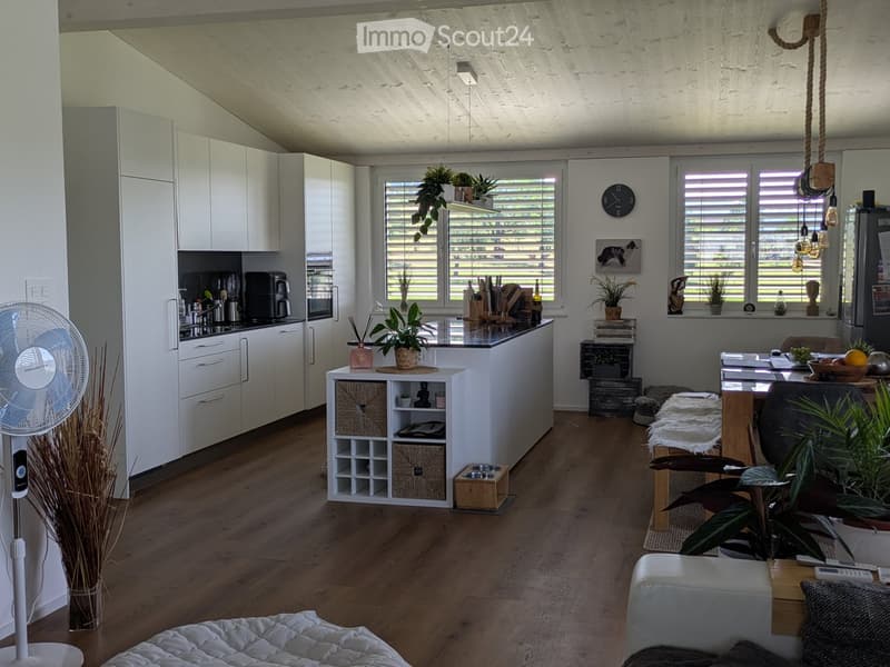 Modern open-plan living and kitchen area with white cabinets, a central island, a sofa, a coffee table, and various decorative items including potted plants and a fan.